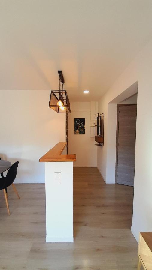 Appartement Lumineux Et Central プロプリアノ エクステリア 写真